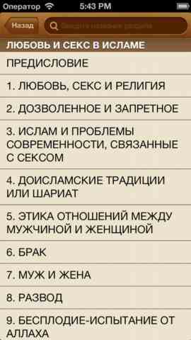 Всё, что вы хотели знать о сексе в исламе, но боялись спросить